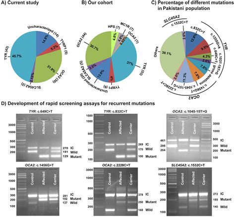 Prevalence Of Albinism Genes And Their Alleles In A Pakistani