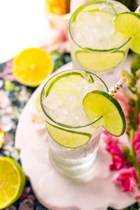 Classic Gin And Tonic Recipe Tips To Make The Best Rachel Cooks