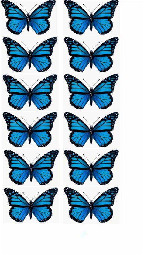 Butterfly Template For A Bouquet Immagini Illustrazione Ragazza