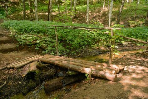 Simple Wooden Bridge Made Of Logs Over A River In Forest Editorial