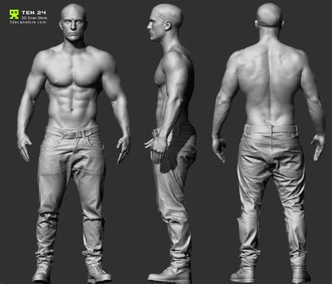 Reference Character Models Page Character Modeling Anatomy