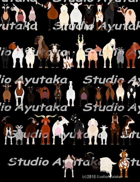 45 Breeds Of Goats Chart Svg Png 1620 Etsy