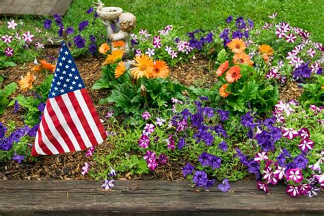 American Flag In The Garden Stock Photo Image Of July Blue 94946878