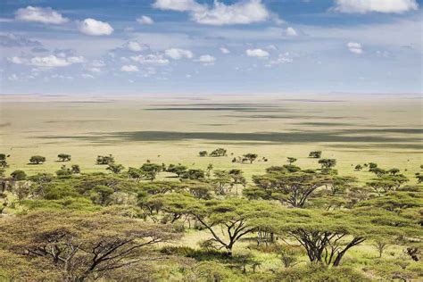 Serengeti National Park World S Best National Parks