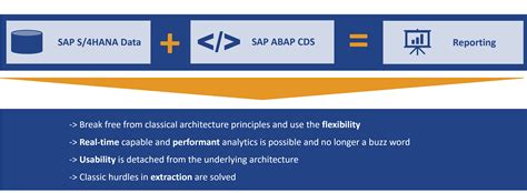 SAP S 4HANA Analytics CubeServ