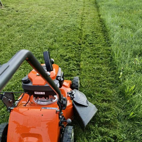 Sekání trávy a likvidace plevelů a porostu Sauberpro Group s r o