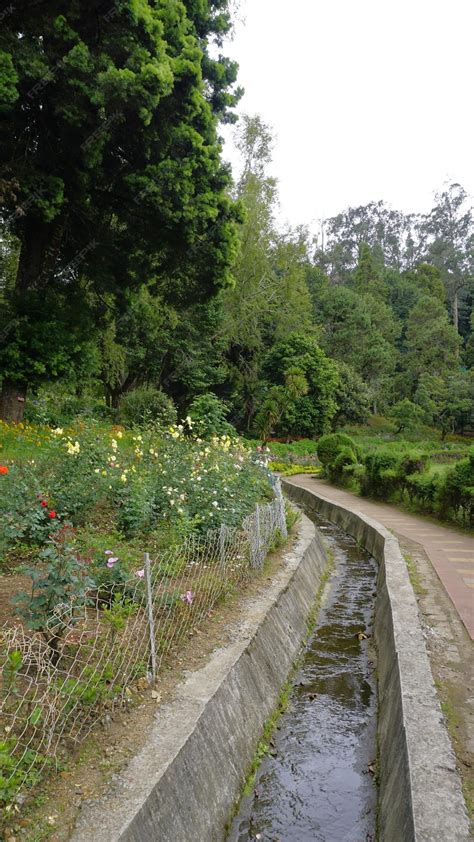 Premium Photo | Beautiful scenic garden of kodaikanal bryant park one ...