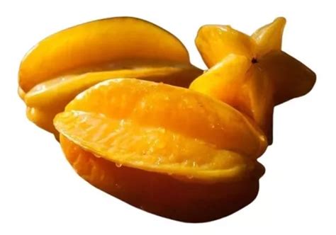 Muda De Carambola Mel Enxertada Para Produzir Parcelamento Sem Juros