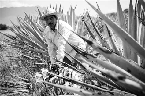 Todo Listo Para La Inauguraci N De La Gran Fiesta Del Mezcal En