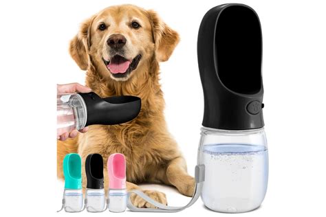 The Best Dog Water Bottles of 2024 | PawTracks