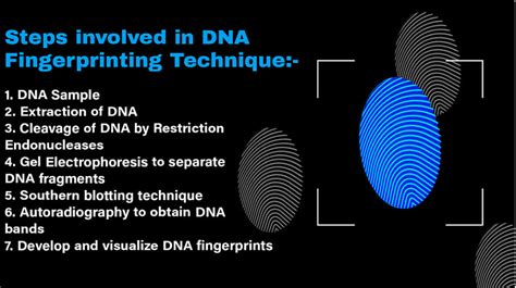 DNA Fingerprinting Steps And Applications