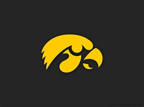 HD wallpaper: back teams University of Iowa Logo Sports Football HD Art ...