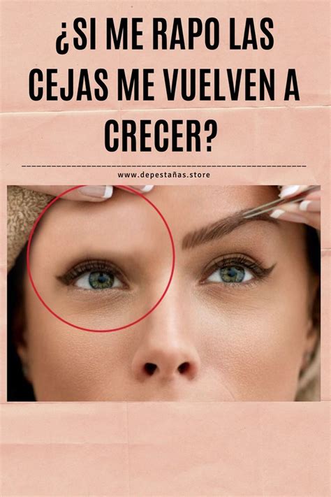 Cuanto Tardan Las Cejas En Crecer Cejas Hibridas