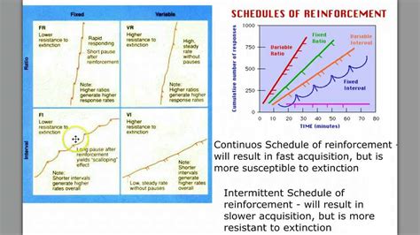 Schedules Of Reinforcement Practice