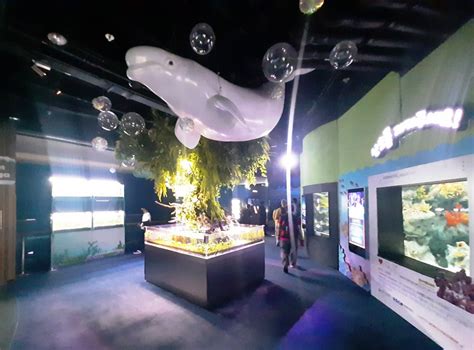 Lotte World Tower Aquarium Seoul South Korea Blast Live