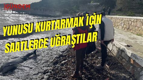 Yunusu Kurtarmak için Saatlerce Uğraştılar YouTube