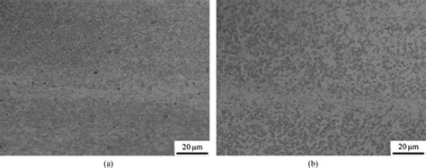 The Microstructure Of As Forged Ti 10V 2Fe 3Al Alloy At Different