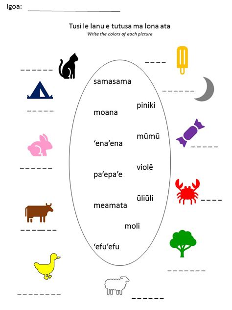 Samoan for Kids: Samoan Colors 🖍