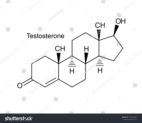 Testosterone Sex Hormone Chemical Formula Vector Stock Vector Royalty Free 1352230397