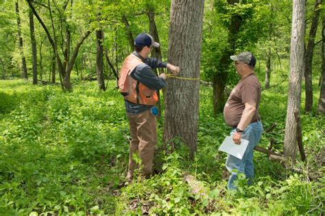 Forest Management Activity Cost Guide - University of Wisconsin-Stevens Point