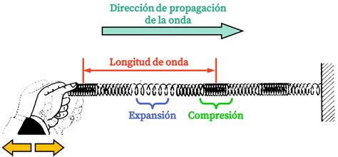 Onda Transversal Y Onda Longitudinal