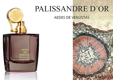 Discenter - Интернет магазин парфюмерии. Aedes de Venustas Palissandre ...