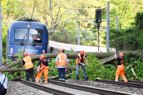 Baum fällt auf Oberleitung Zug muss bei Grafing evakuiert werden