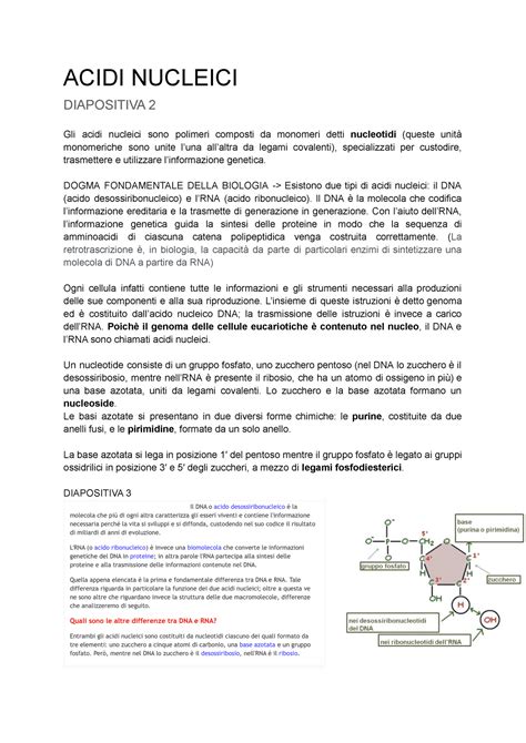 Acidi Nucleici ACIDI NUCLEICI DIAPOSITIVA 2 Gli Acidi Nucleici Sono