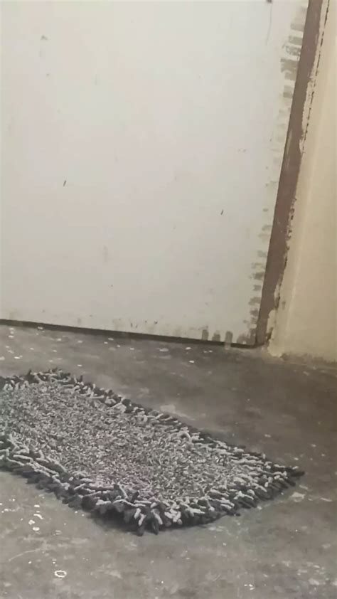 Bhaya Ne Choti Bahan Ko Chudai Kiya Akele Dekhkar Gay Romantic Porn Feat Sexy Musterbate