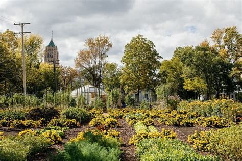 El Primer Agrihood Urbano Sostenible De Los Estados Unidos Alimenta A 2