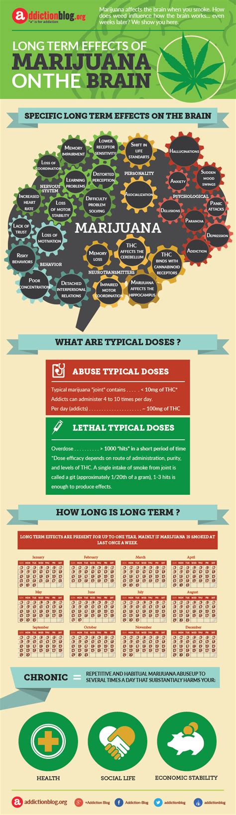 Long Terms Effects of Marijuana on the Brain (Infograph)