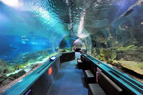 Pattaya Underwater World Aquarium Provided By Thai Holidays