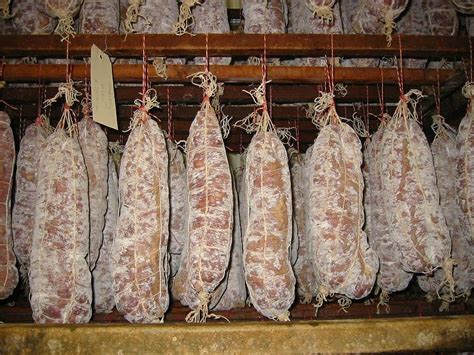 Impensable Périmé Peave fonctionnement séchoir saucisson le désir