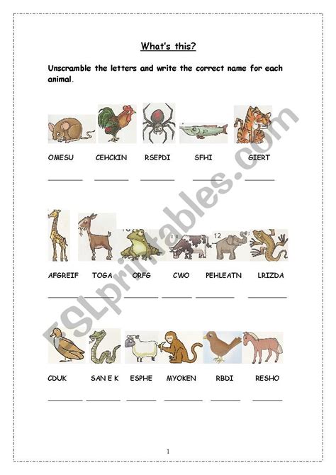 Whats This ESL Worksheet By English In Mind