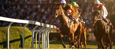 Dubai World Cup Carnival 2020: Races, tickets & more - MyBayut