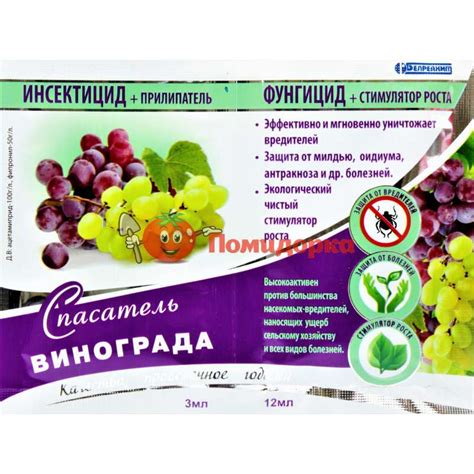 Фунгициды для винограда: системные, органические, комплексные