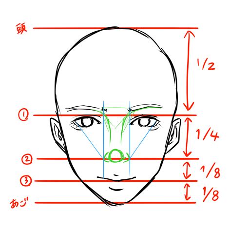 【鼻の描き方】顔全体のバランスを担う鼻の描き方を徹底解説！ 株式会社esolab