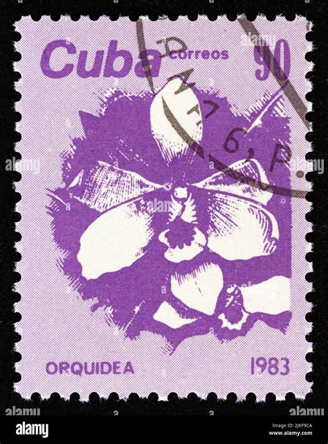 Cuba Circa A Stamp Printed In Cuba From The Flowers Issue