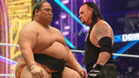 Undertaker Vs Sumo Match YouTube