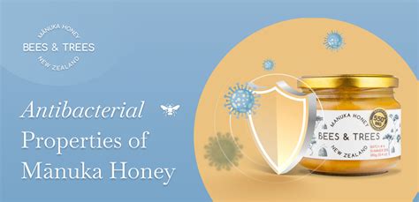 The Antibacterial Properties of Manuka Honey | Science-Based 