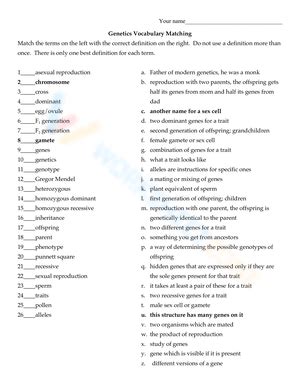 Genetics Vocabulary Worksheets