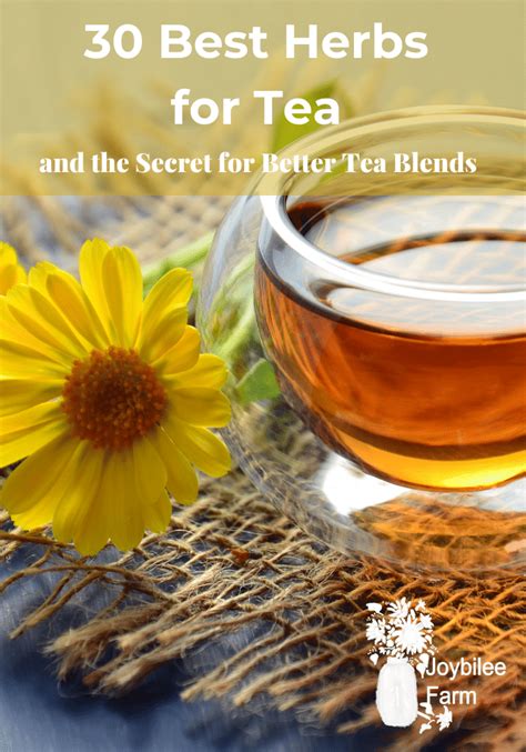 30 Best Herbs For Tea And The Secret For Better Tea Blends