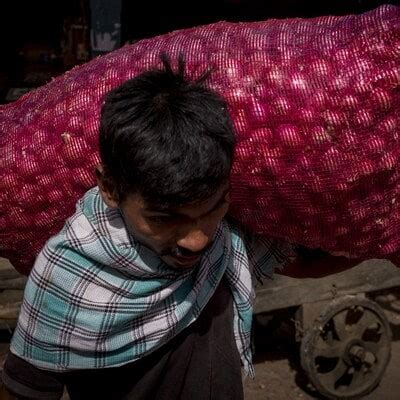 India Allows Export Of Tonnes Of Onion To Sri Lanka Eases Ban