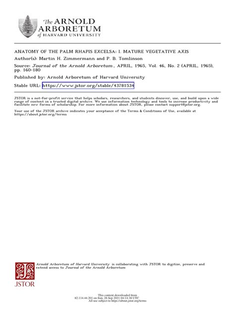 Anatomy of Palms R Hap Is | PDF | Leaf | Plant Stem