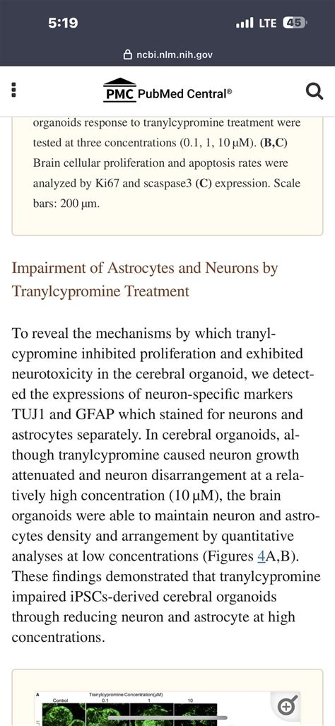 Tranylcypromine Causes Neurotoxicity and Represses BHC110/LSD1 in Human
