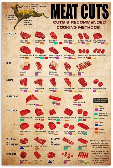 Poster Deer Meat Cuts Poster Poster Wall Art Print Size X 12x18in Artofit