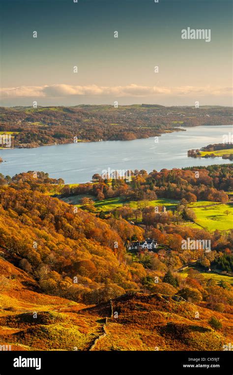 Windermere From Loughrigg Fell Sunny Autumn Day Lake District Cumbria