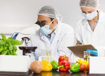 La Provincia Contar Con Un Laboratorio De An Lisis De Alimentos