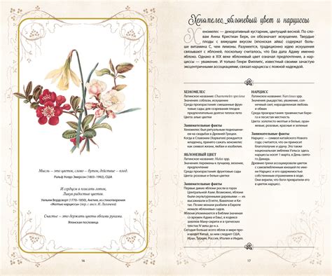 Купить книгу «Тайный язык цветов», Джилл Дэвис Джилл Сондерс ...