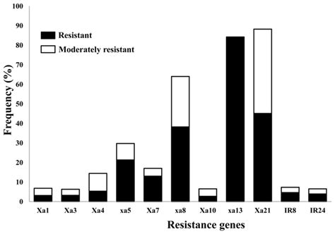 Effectiveness Of Xa Genes Against Indian X Oryzae Pv Oryzae